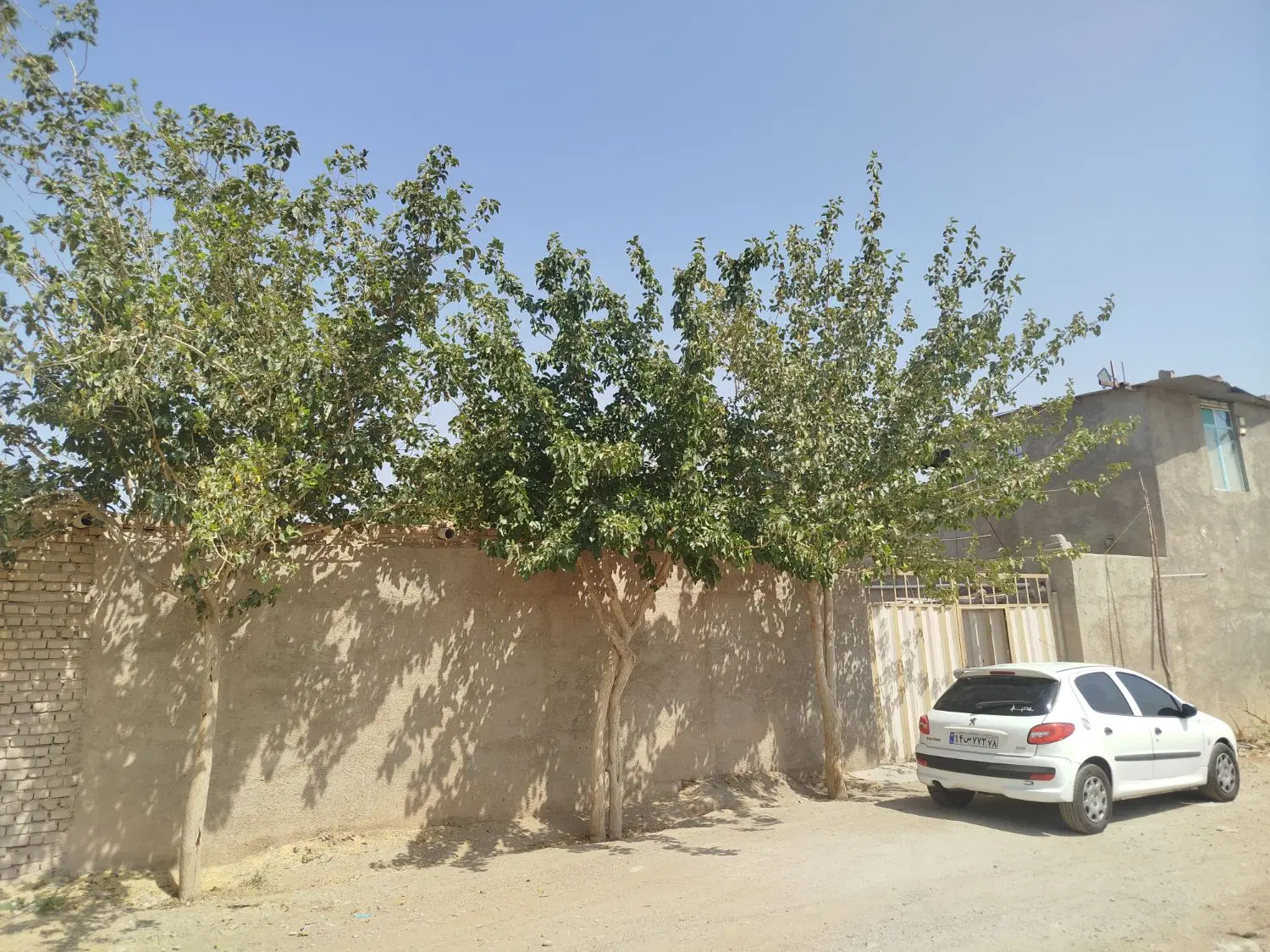 دامداری