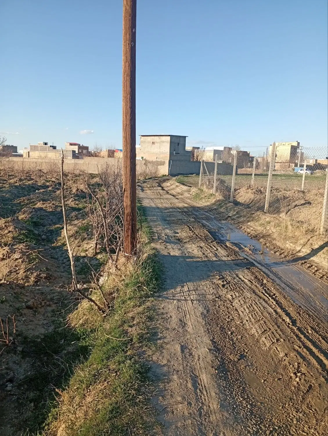 باغ انگور سرمایه گذاری طلایی