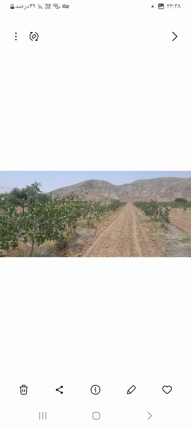 باغ پسته