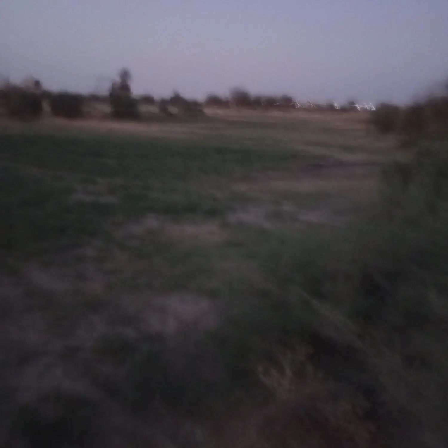 زمین کشاورزی ۷من روستایی پیری بنیاد
