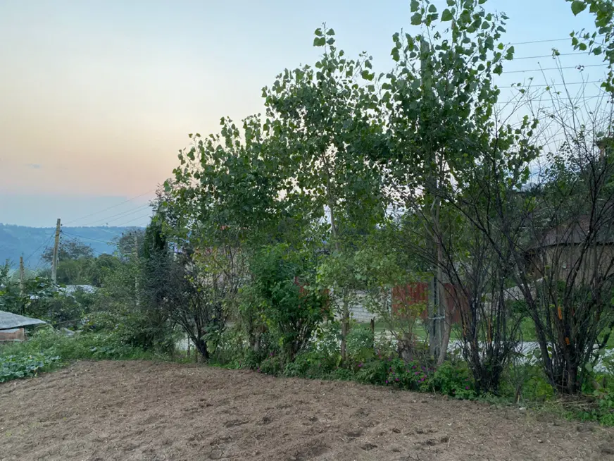 فروش زمین روستایی بر جاده اصلی