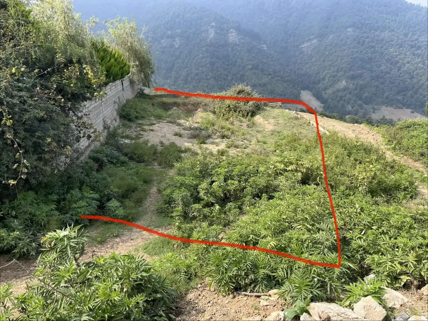 زمین ویلایی در ریگ چشمه بالا