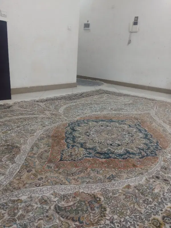 سوئیت