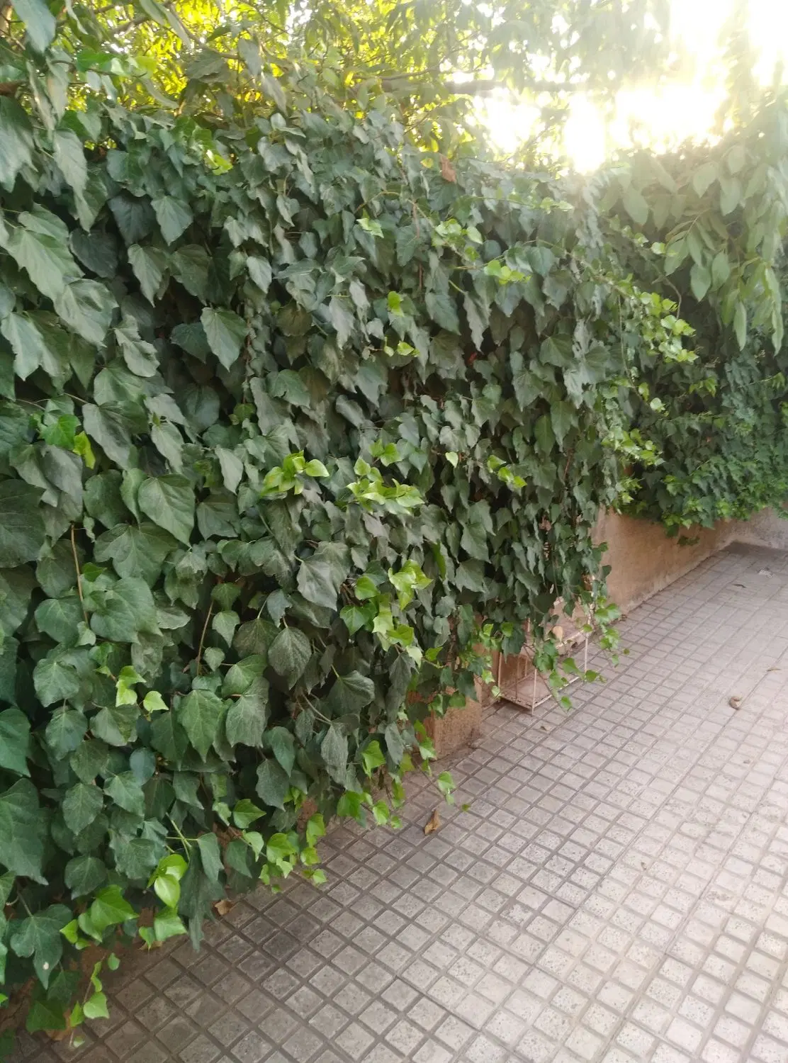 اجاره ویلای ۱۰۰کیلومتری تهران( تهران ،ابیک ،زیاران