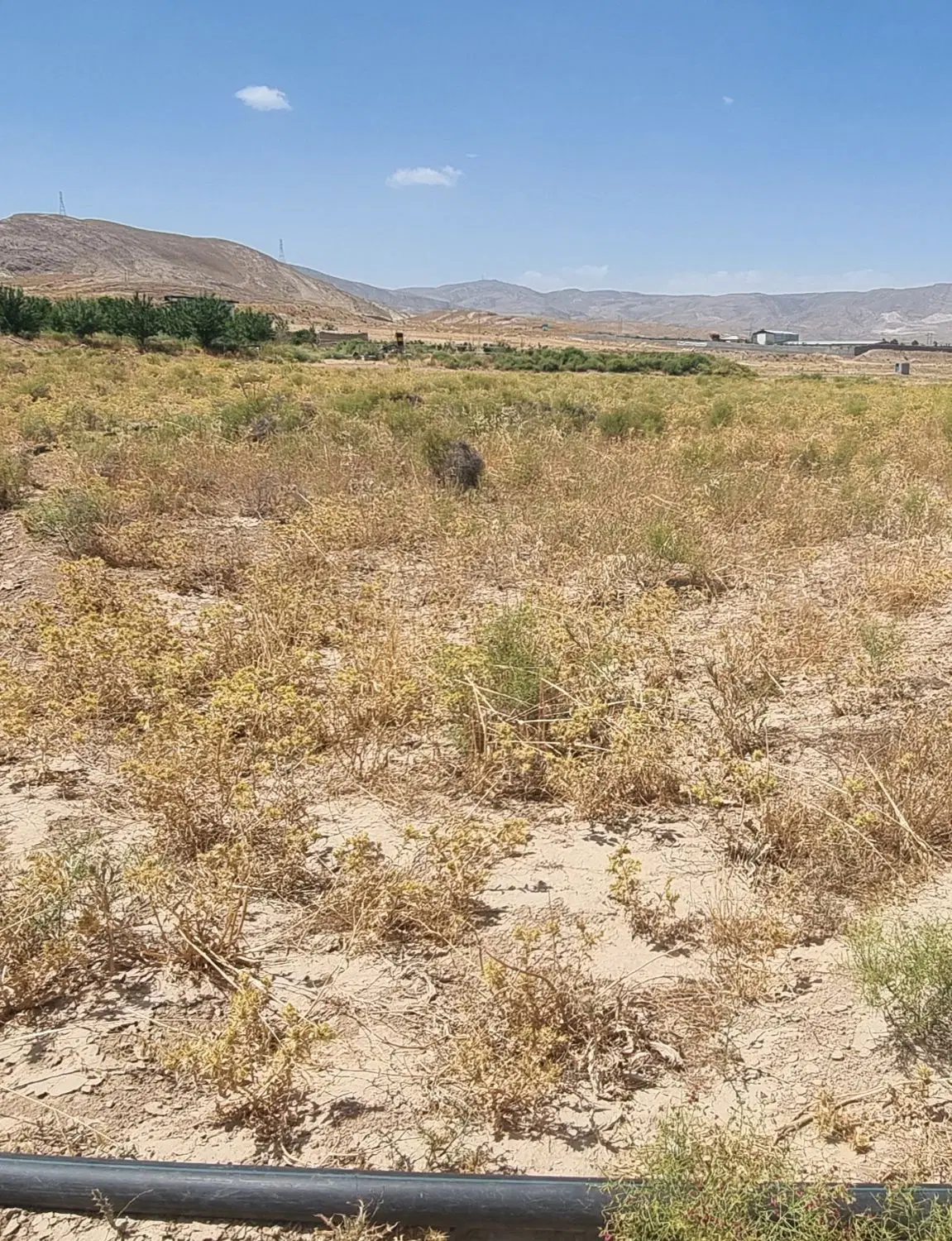 زمین ۵۰۰متر سند ۶دانگ اینده دار