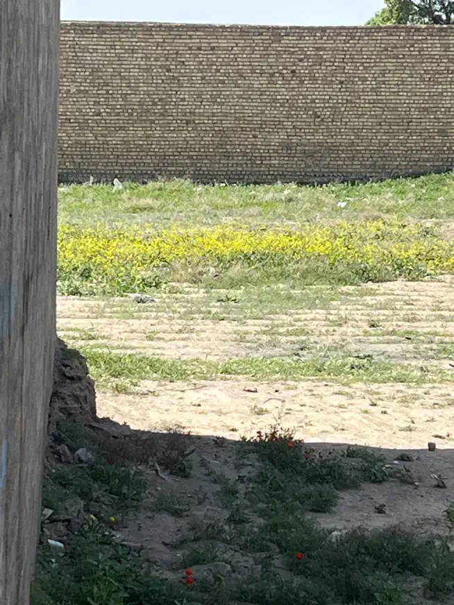 زمین فروشی