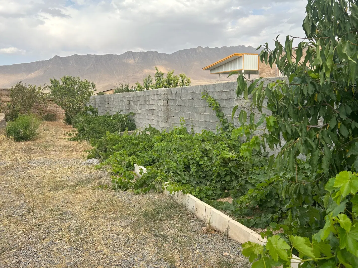 فروش زمین مسکونی ۴۸۰ متری در آستانه