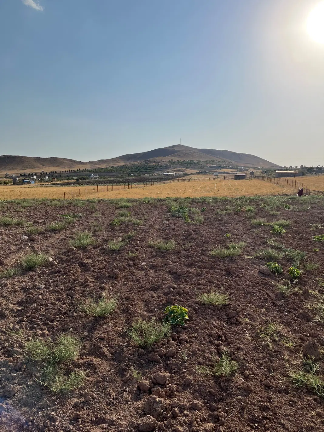 زمین در رشتقون