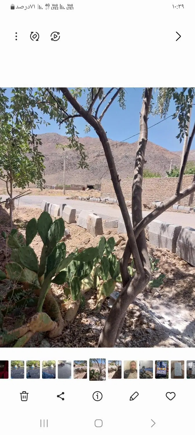 زمین سفیدابه