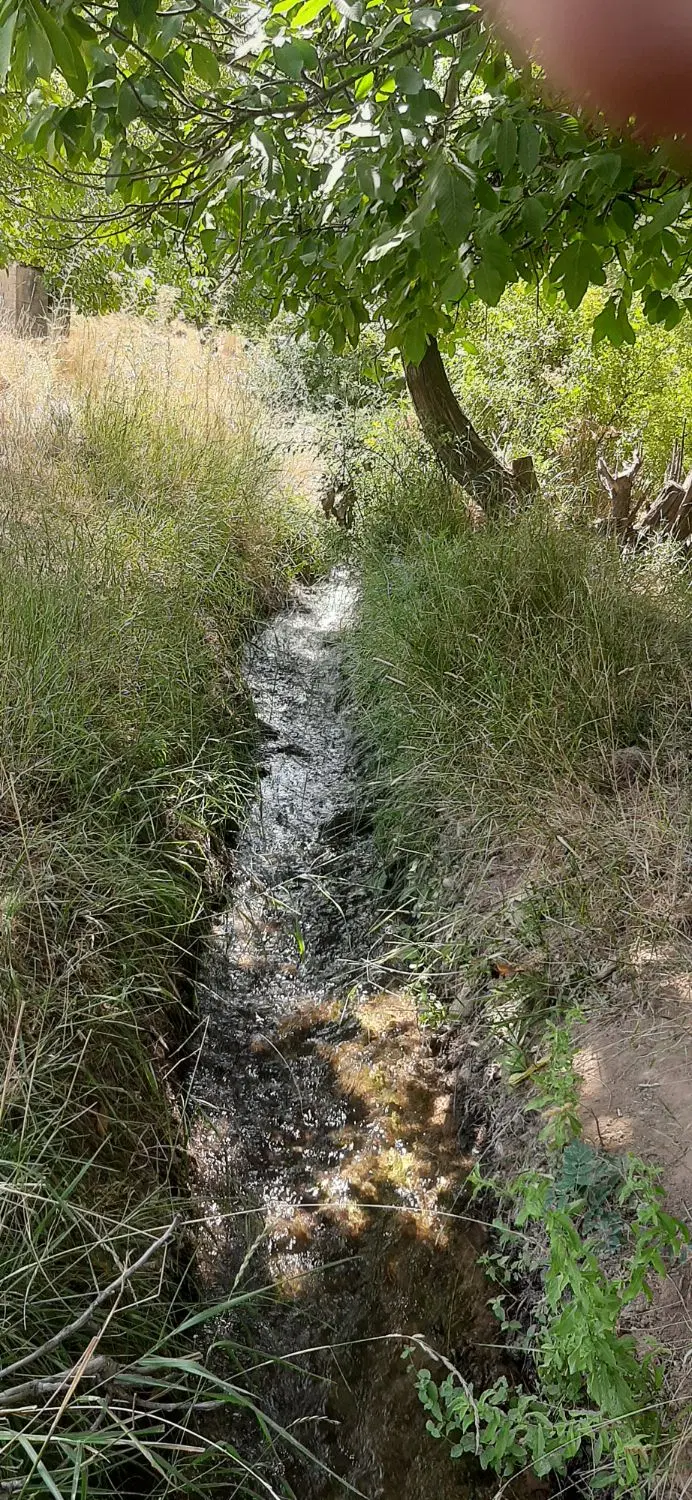 زمین باغی طالقان