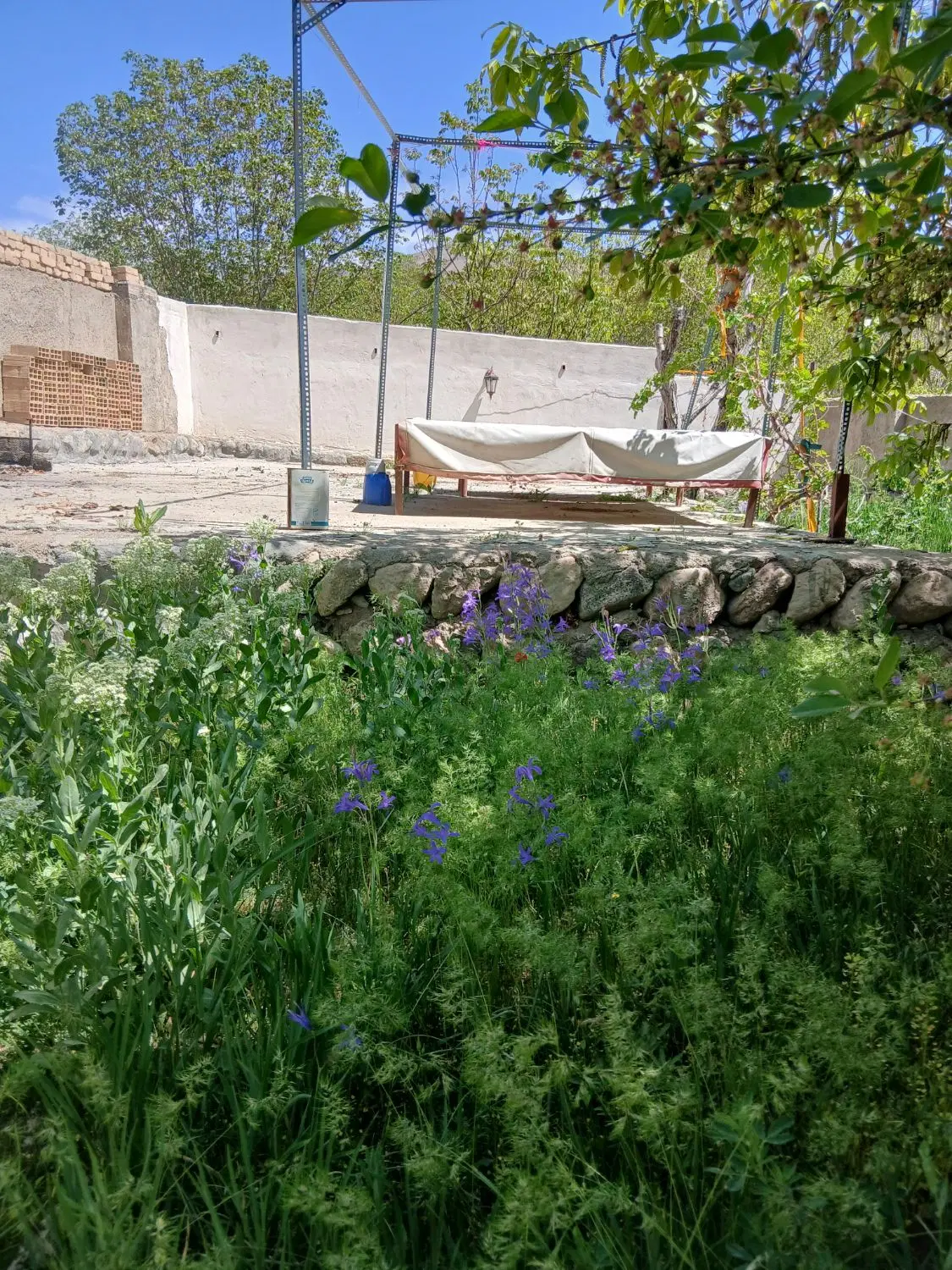 400متری چهار دیواری شده روستای اقچری