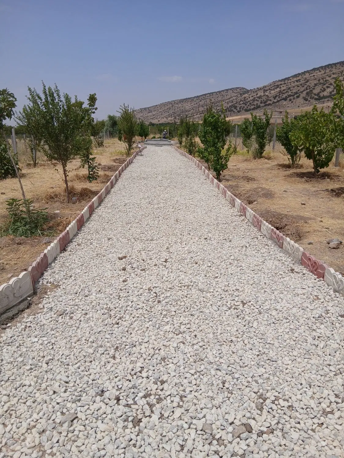باغ سند تک برگ سراب ایوان