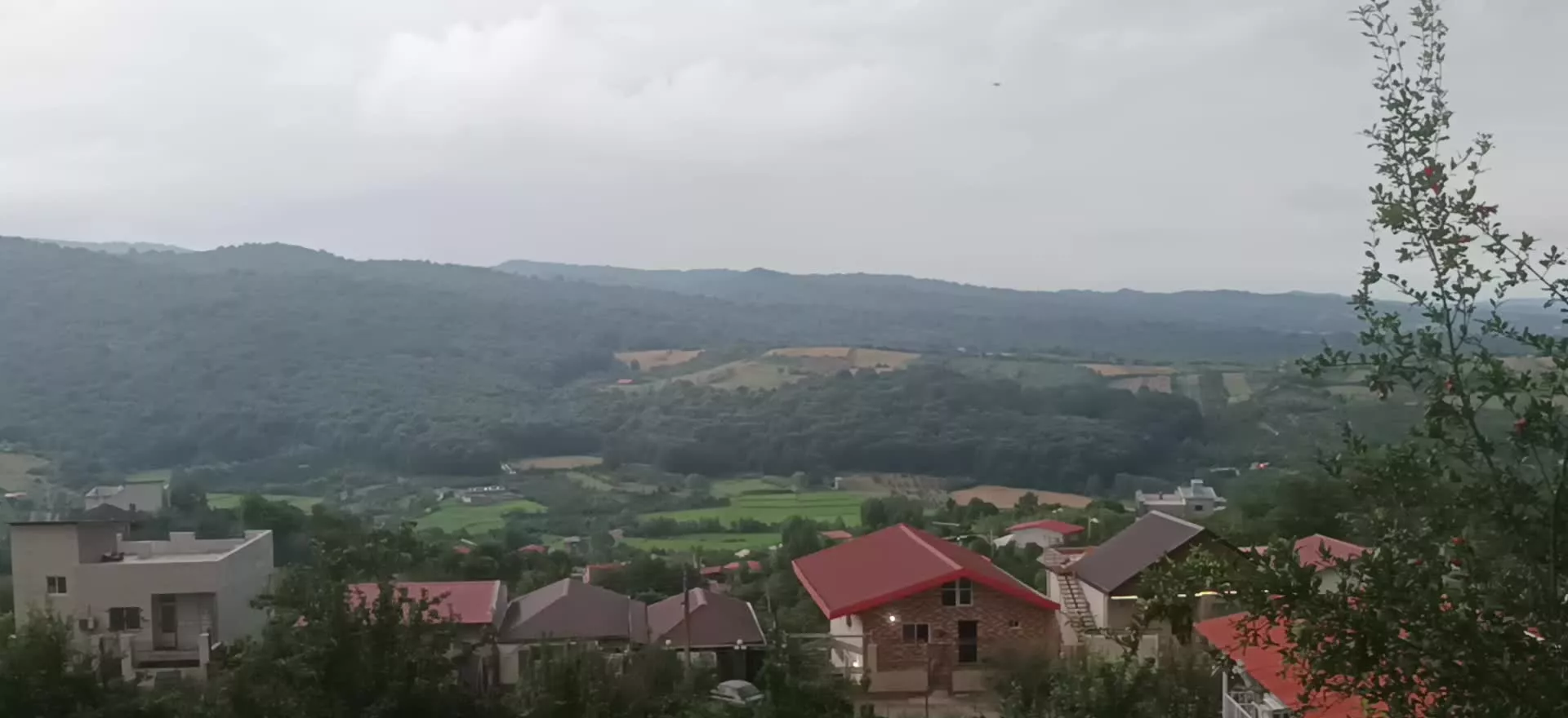 زمین مسکونی در قائمشهر سید ابوصالح