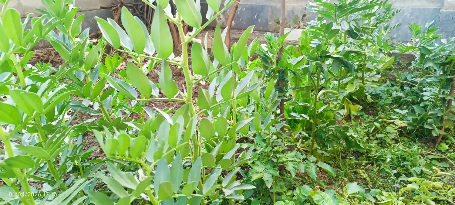 فروش خانه ویلای مطهری