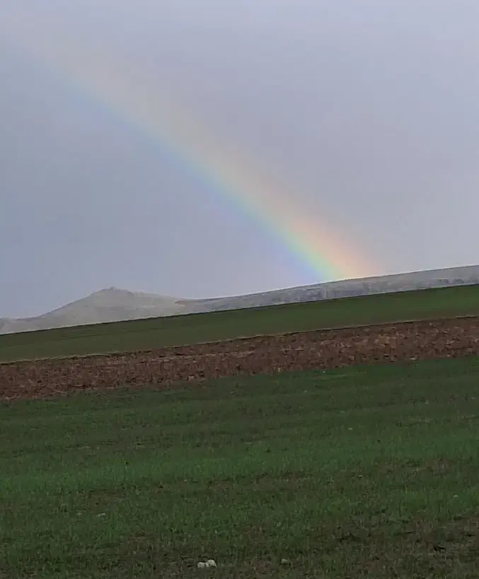 زمین کشاورزی  بانیاران