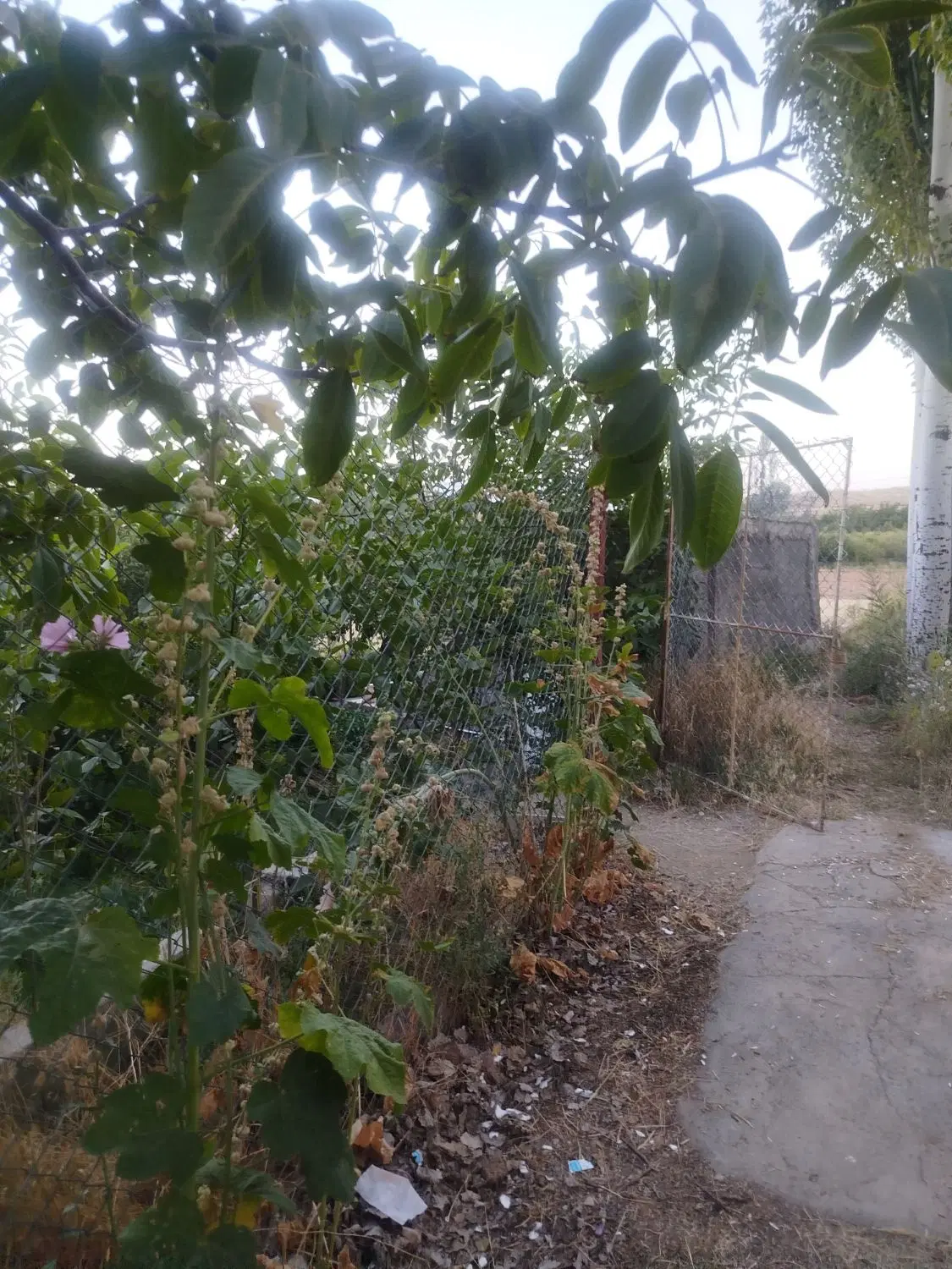 باغ ویلایی