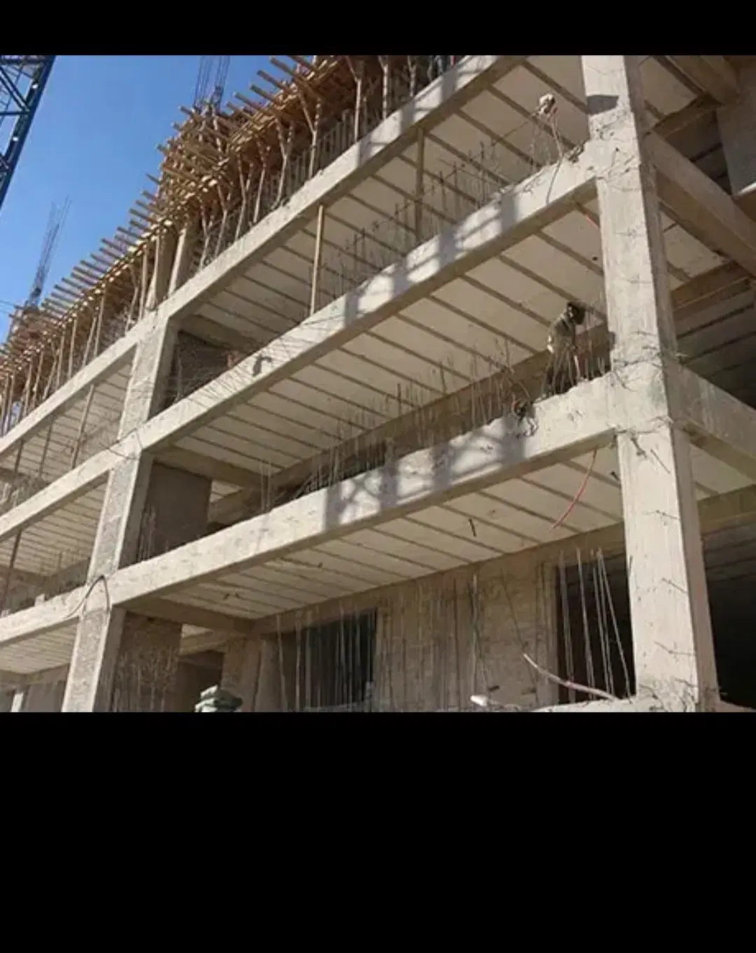پیش فروش __ سازنده معتبر