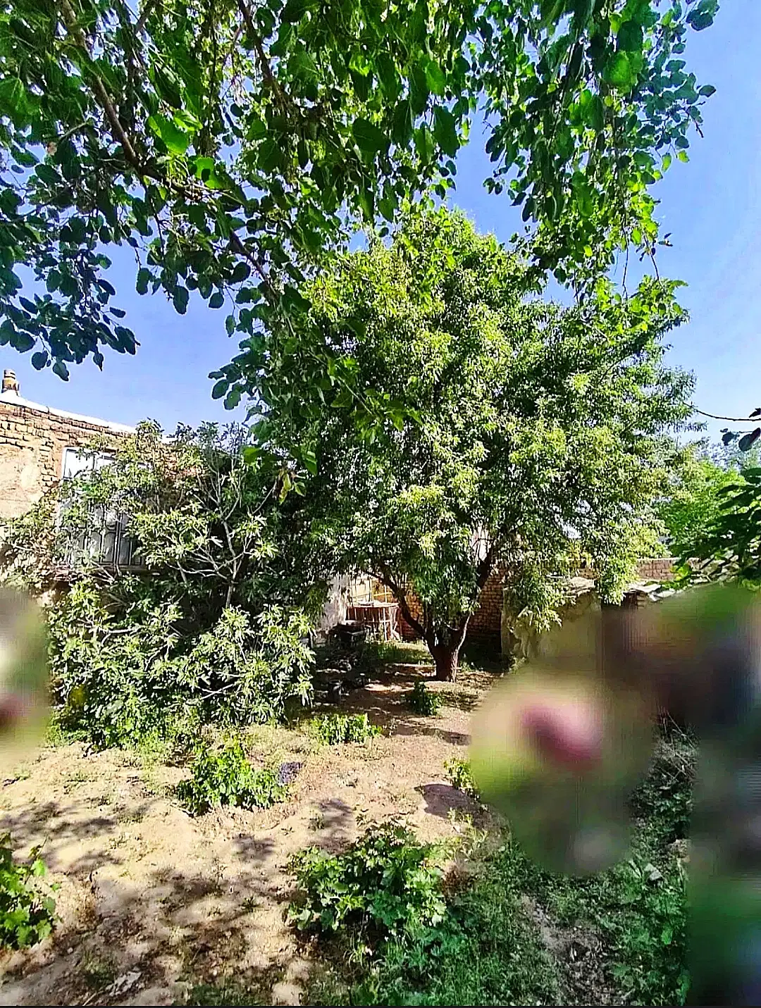 فروش زمین مسکونی در شهر قشلاق