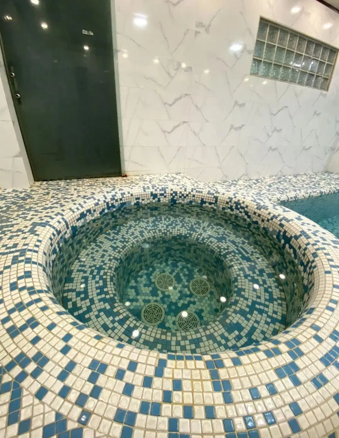 باغ ویلا استخر شاندیز