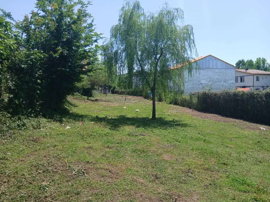 زمین کاربری مسکونی و باغی در سیاهکل