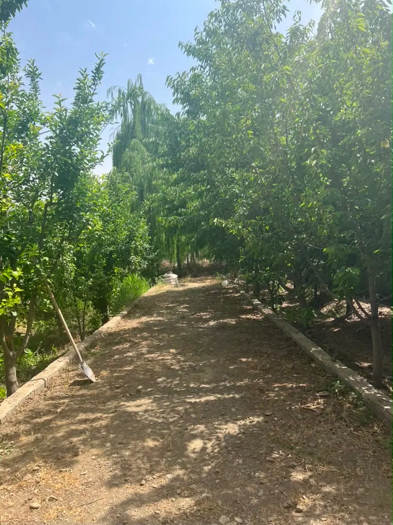 زمین ۵۱۲متری چهار باغ بوستان دو نبش