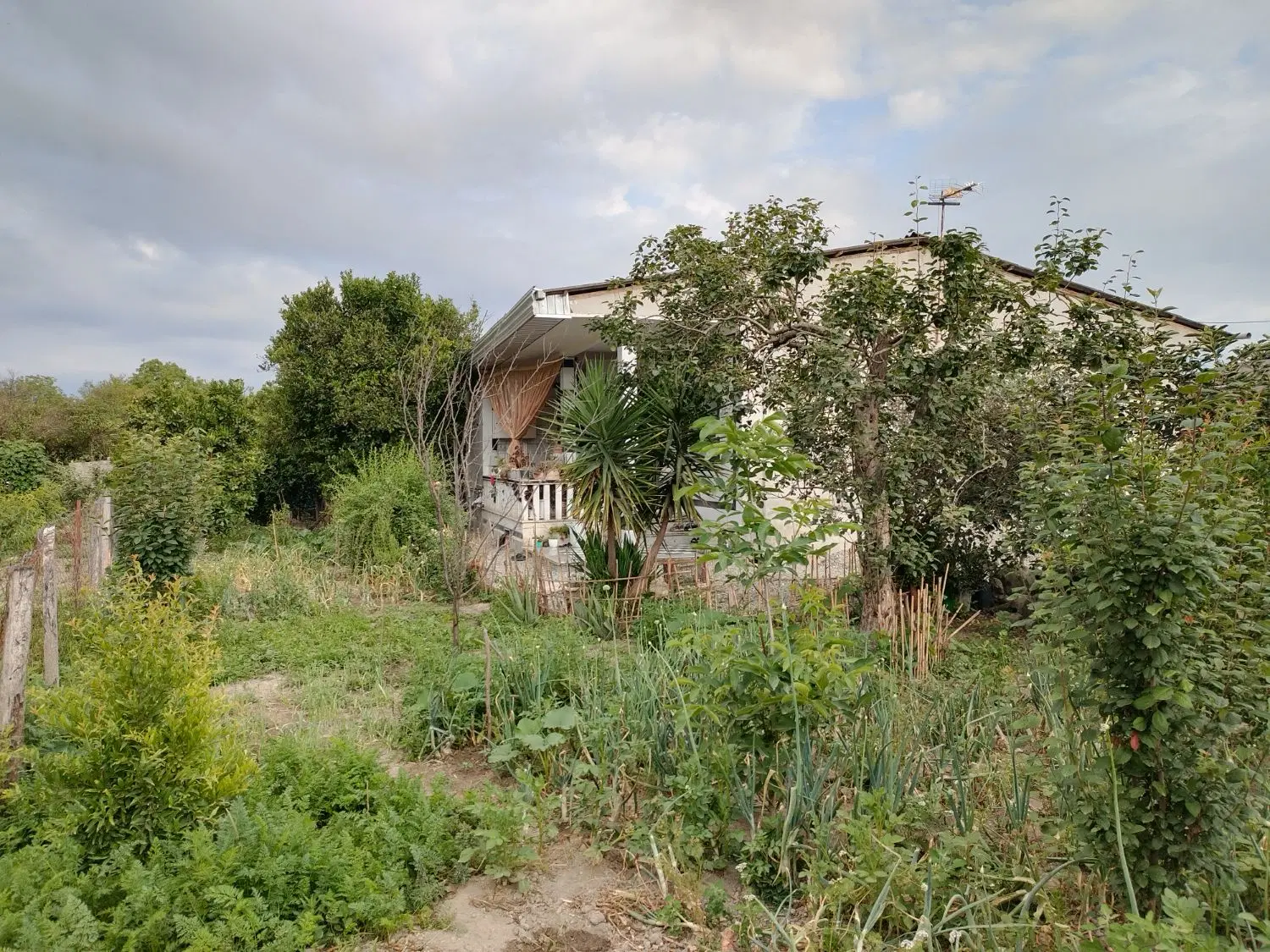 فروش خانه در بندرگز روستای لیوان شرقی