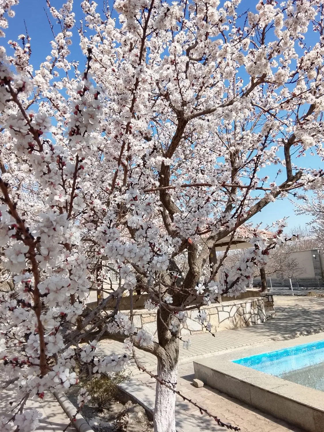 فروش خونه ویلایی