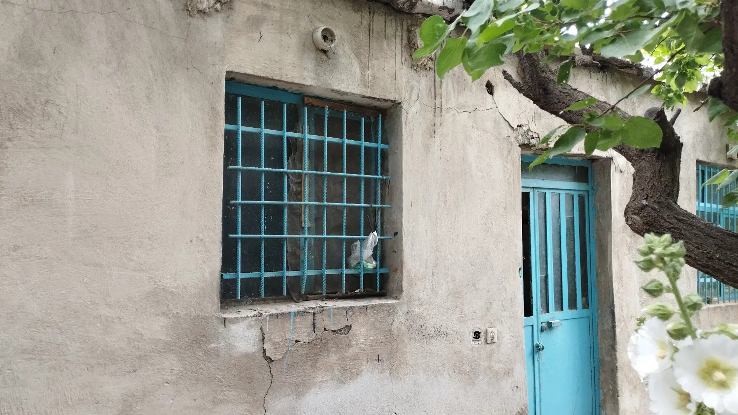 باغ میوه عباس آباد