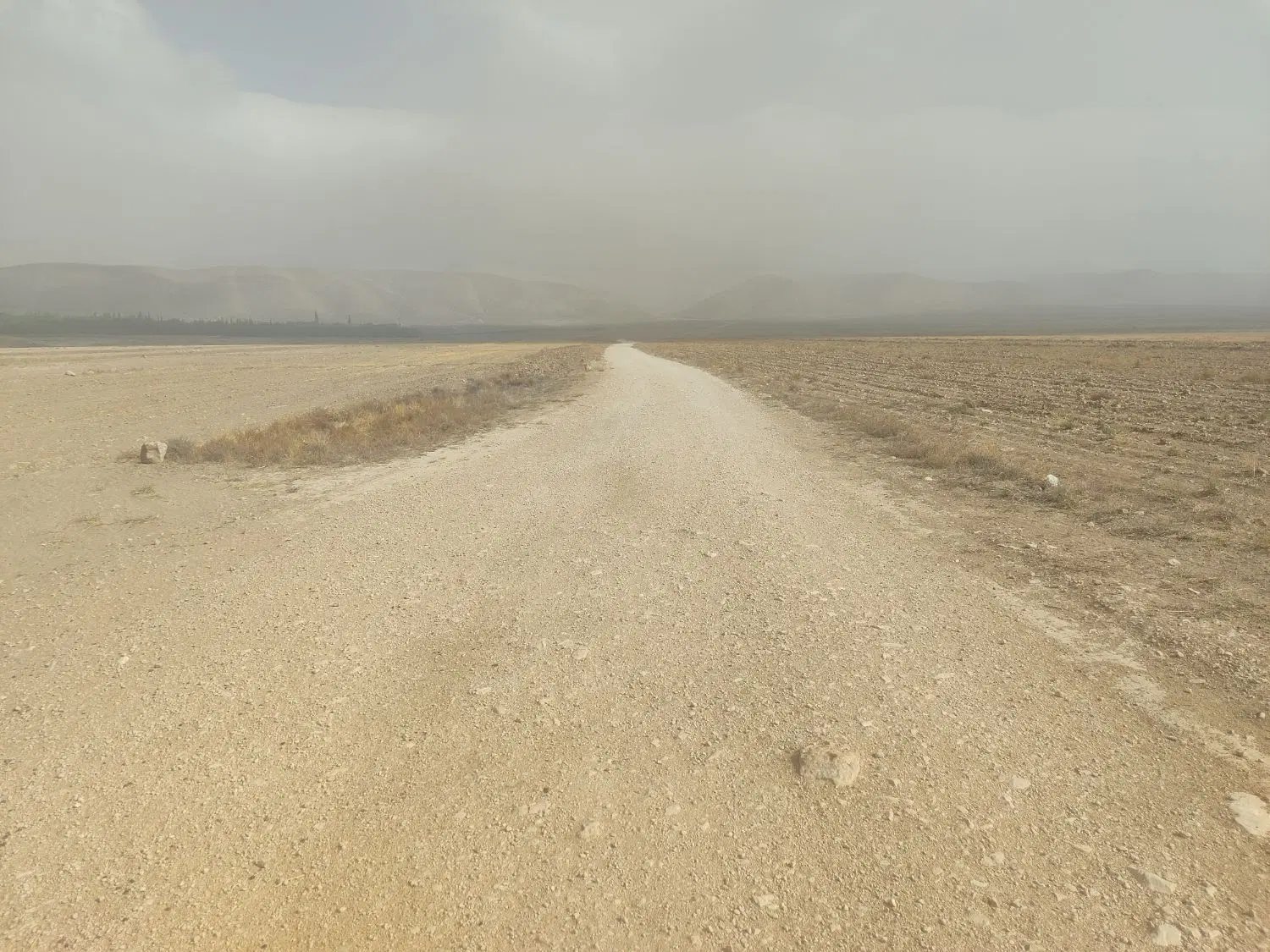 زمین مسکونی
