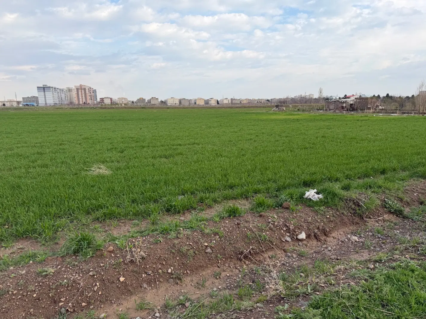 فروش زمین