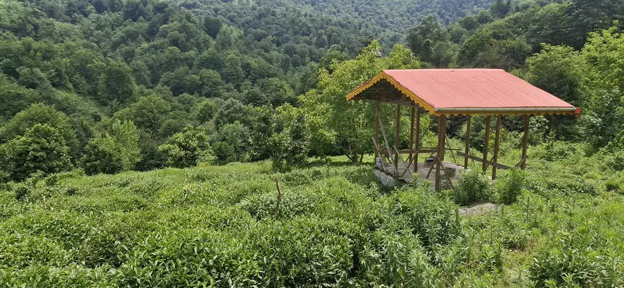 ۱۰۰۰متر باغی لنگرود اطاقور