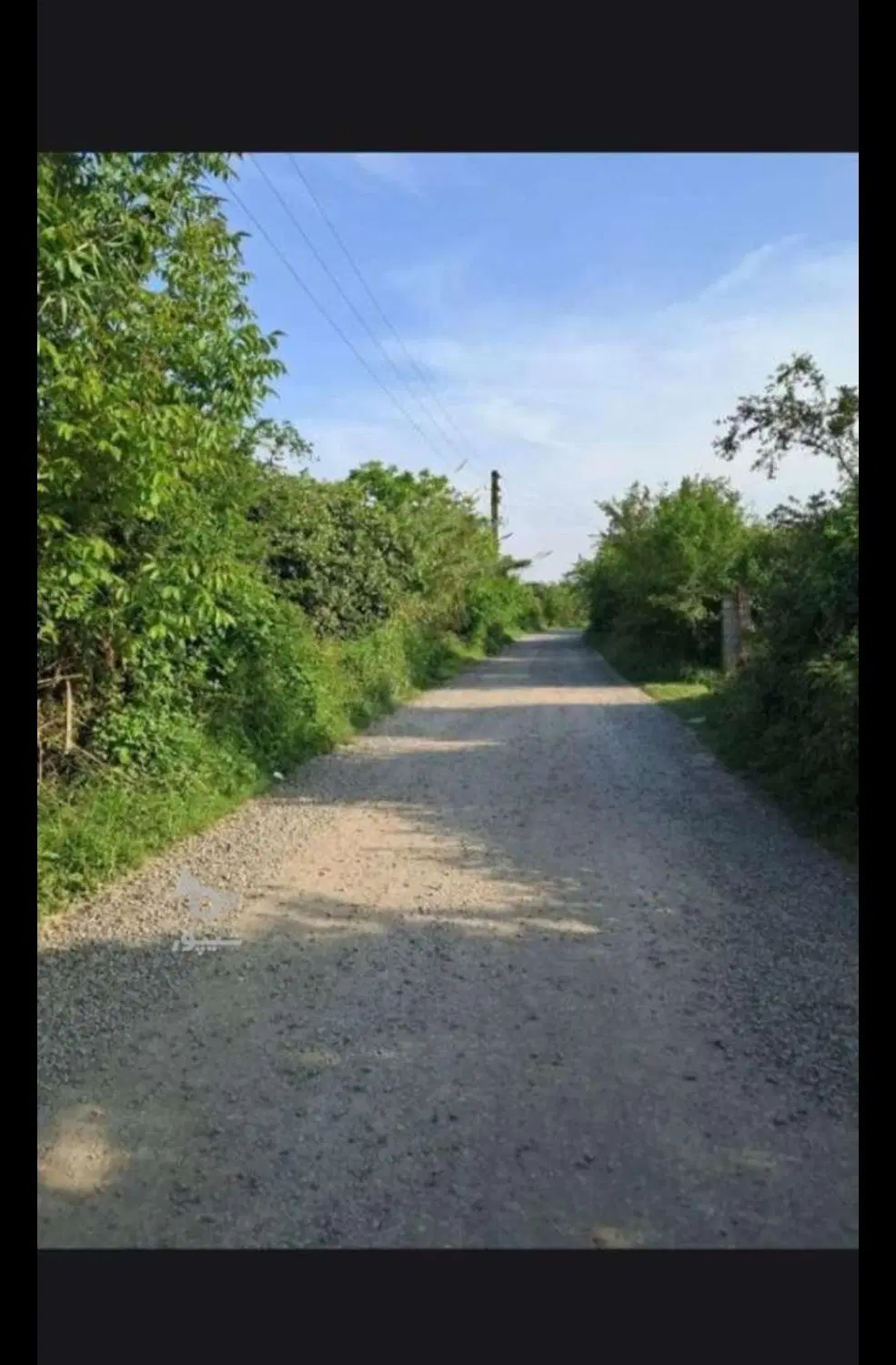 زمین باغ مرکبات