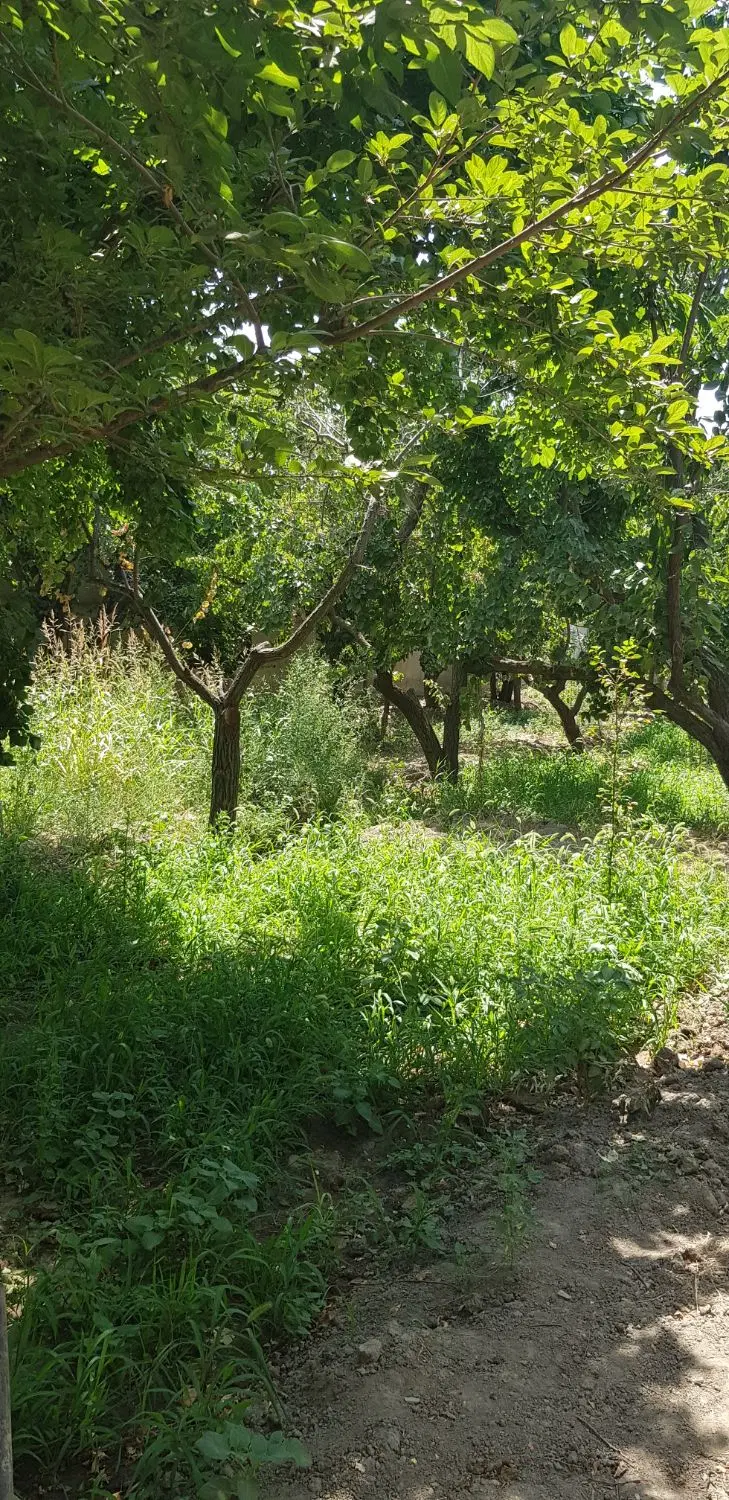 هلدینگ ساختمانی آرتا ستون