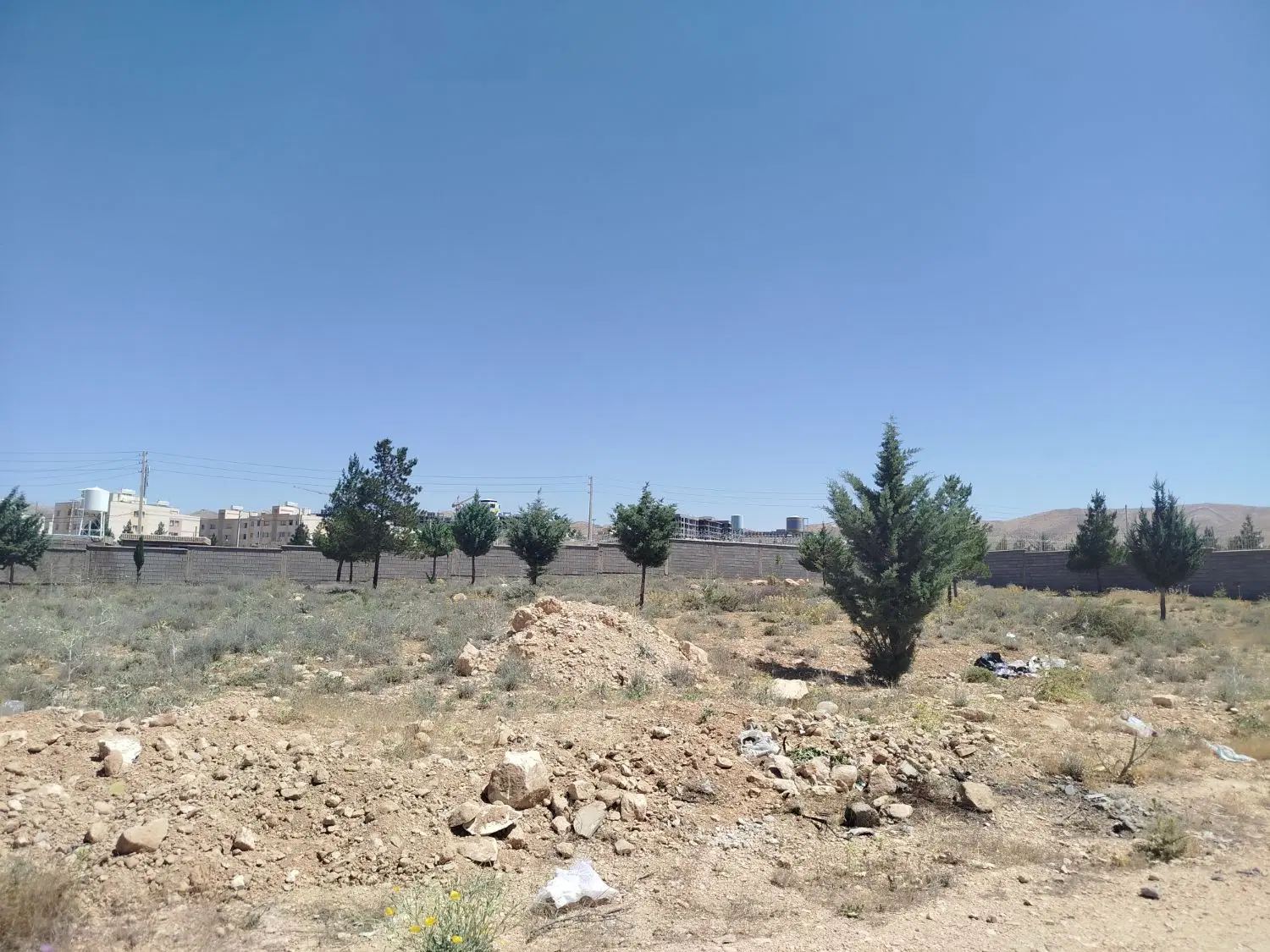باغشهری اهل‌بیت_ درب حیاط_ سپیدار