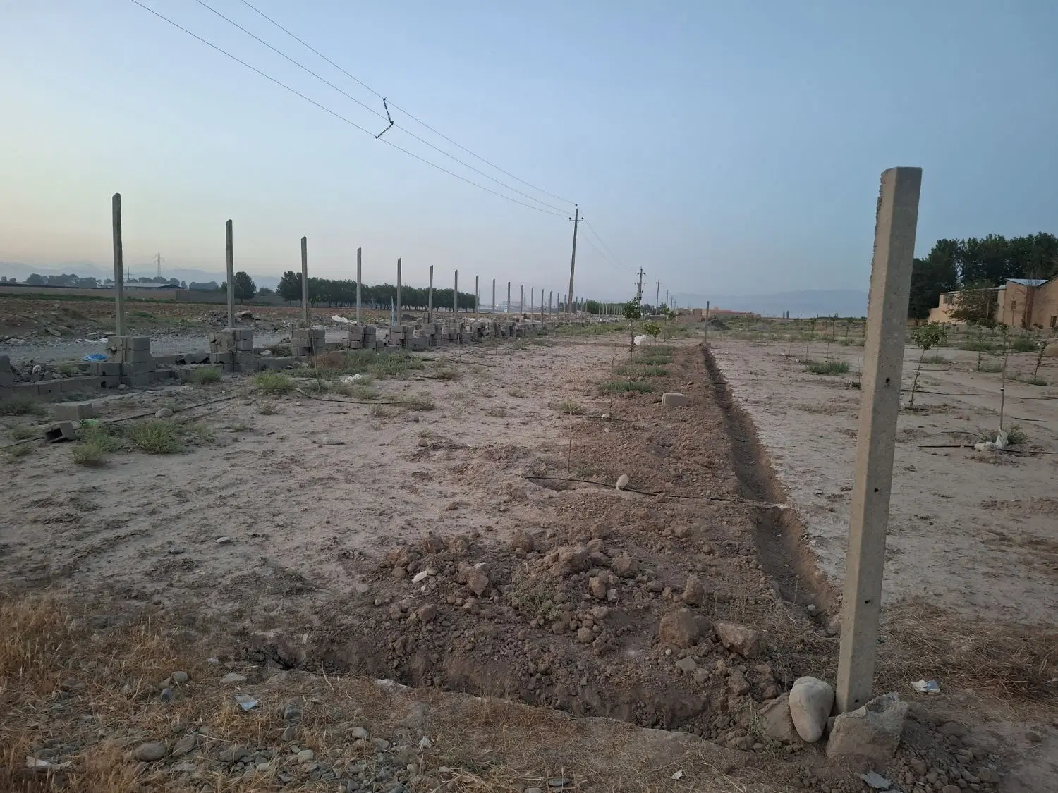 320متر زمین باغی
