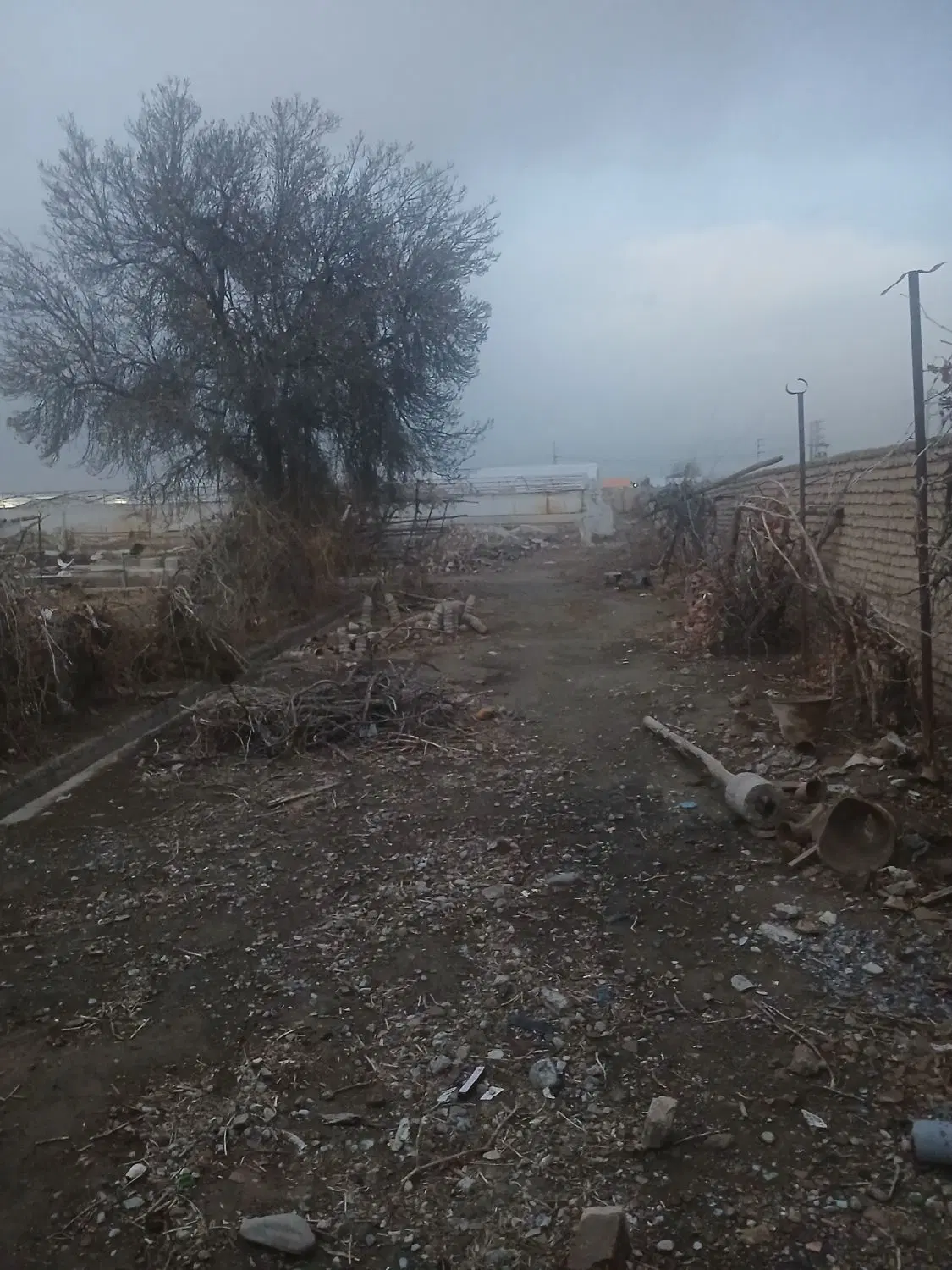چهار دیواری باغی_گلخانه