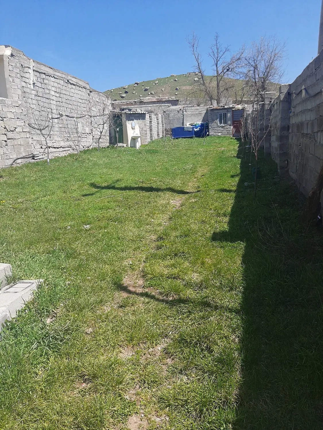 زمین روستای جمادی
