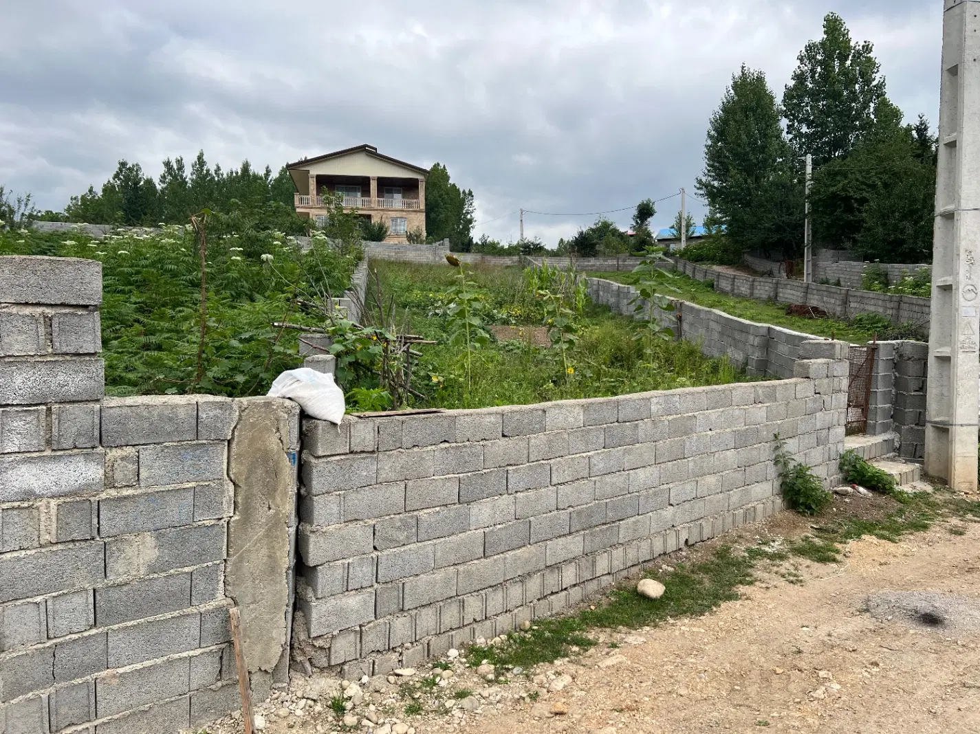 زمین در روستای لاجیم