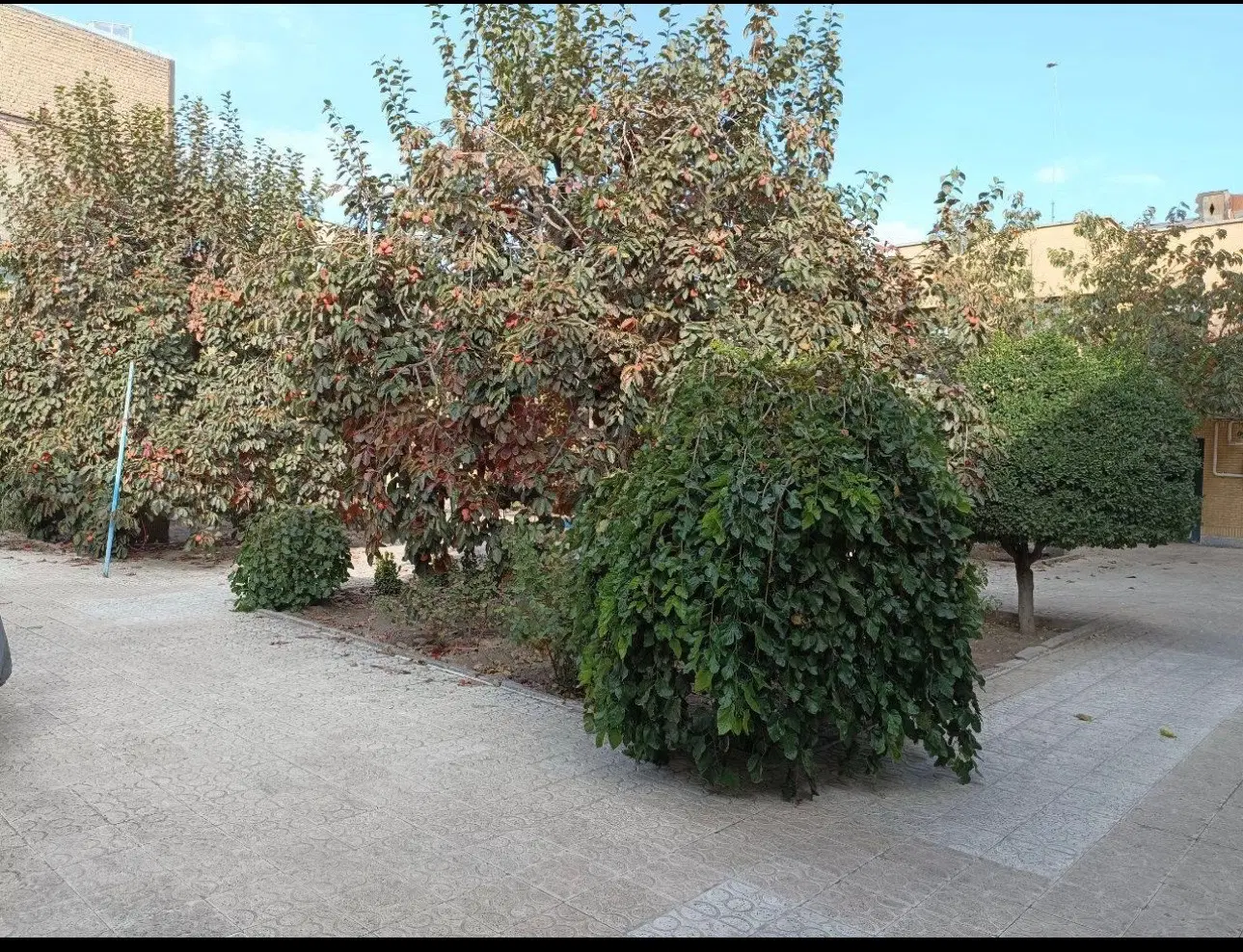 ۱۰۴۳متر ویلایی قدیمی در بافت تاریخی ارزشمند