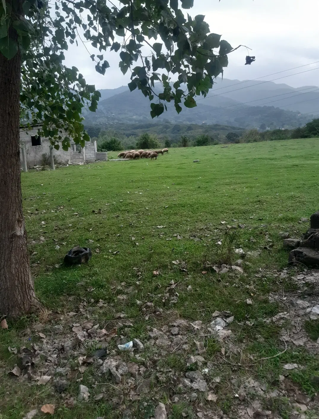 زمین مسکونی