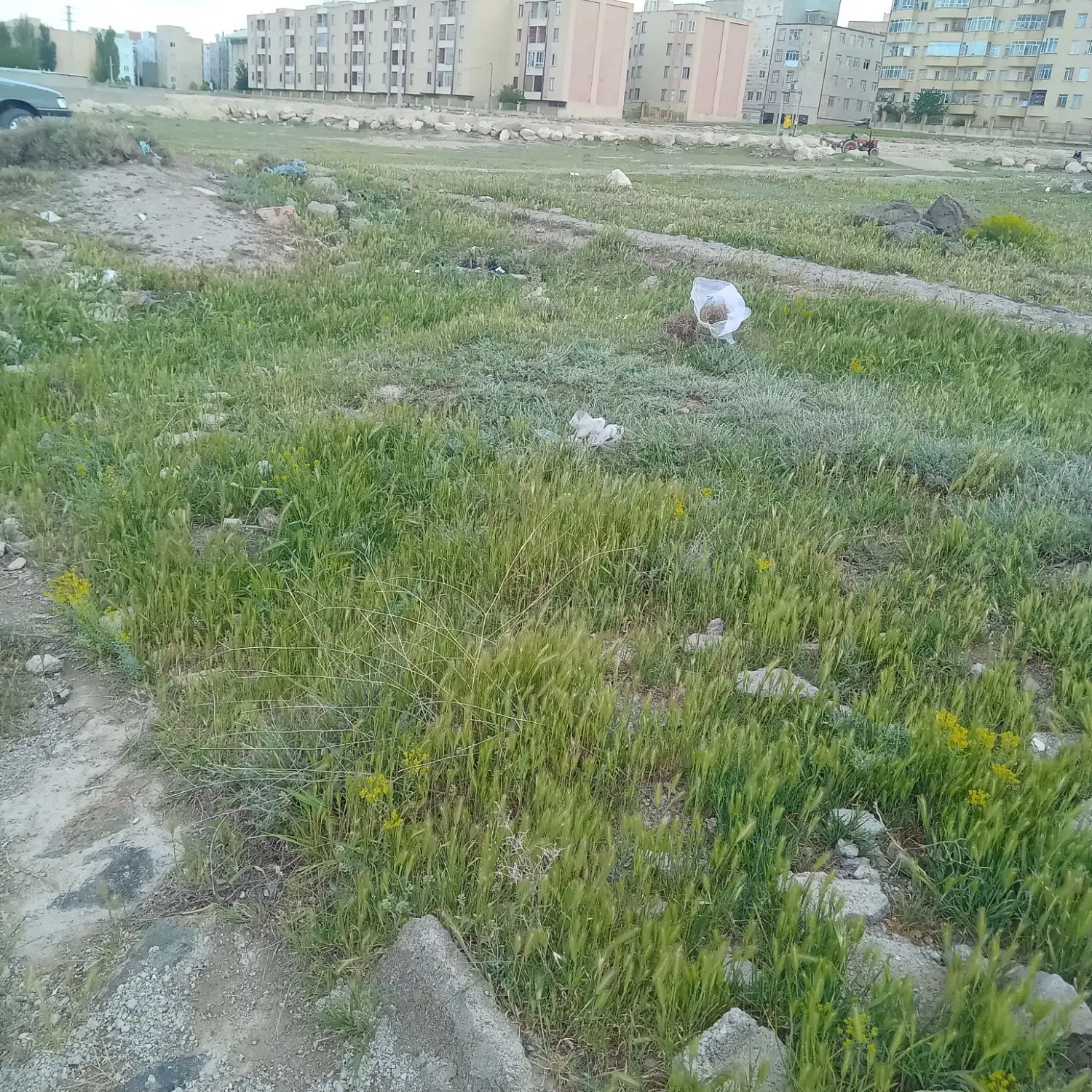 زمین قولنامه ای ۱۰۰ متری نزدیک کارشناسان