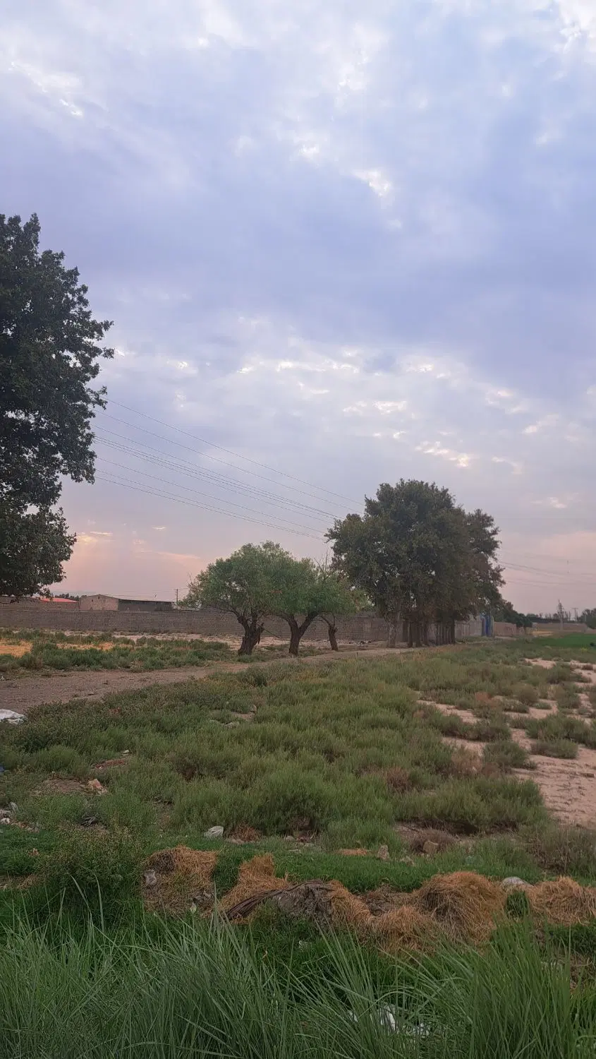 زمین