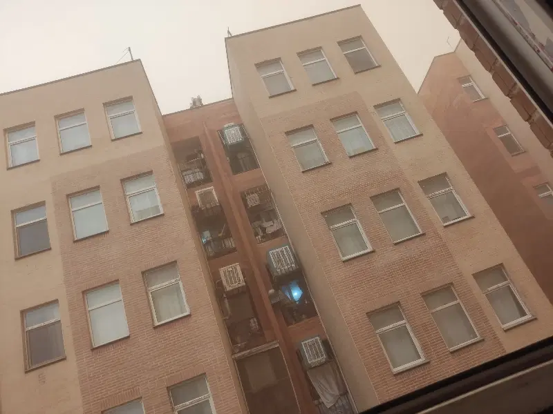 نیازمند همخونه