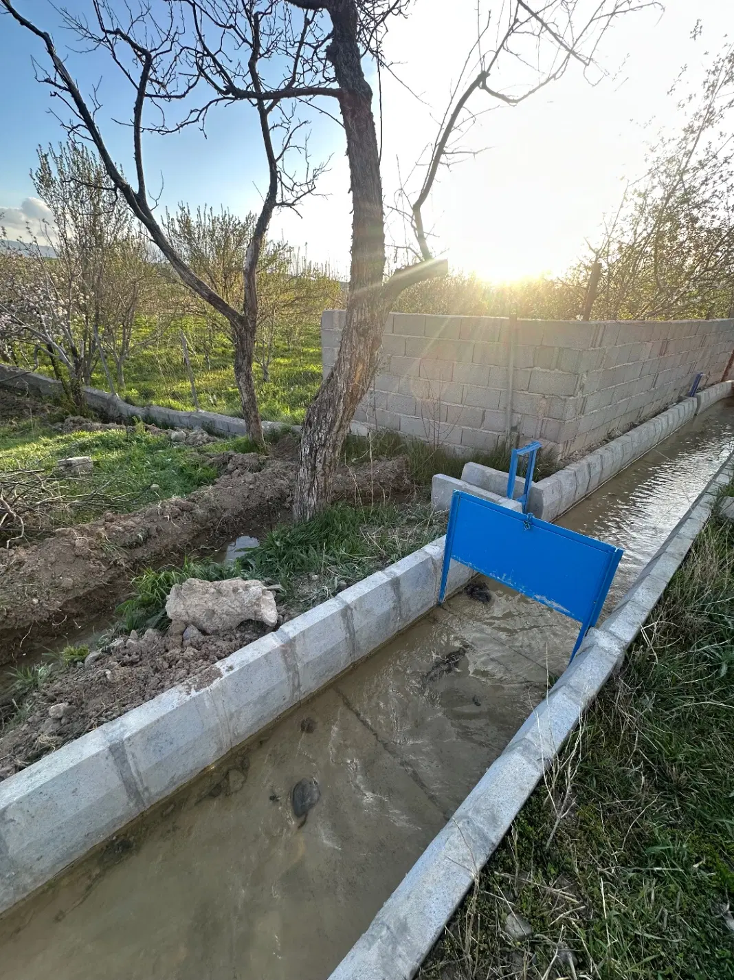 باغ بی نظیر اهر