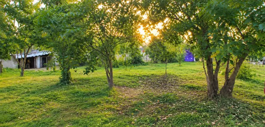 زمین داخل شهری