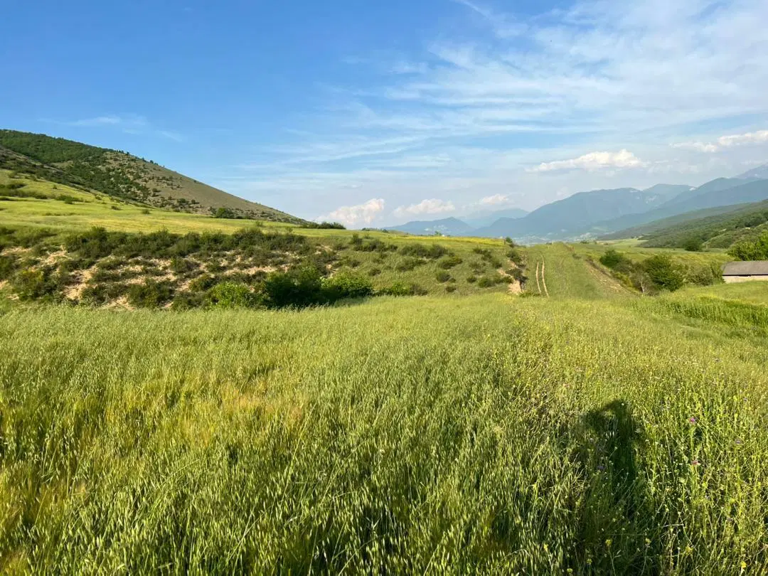 زمین شمال پل وسکت