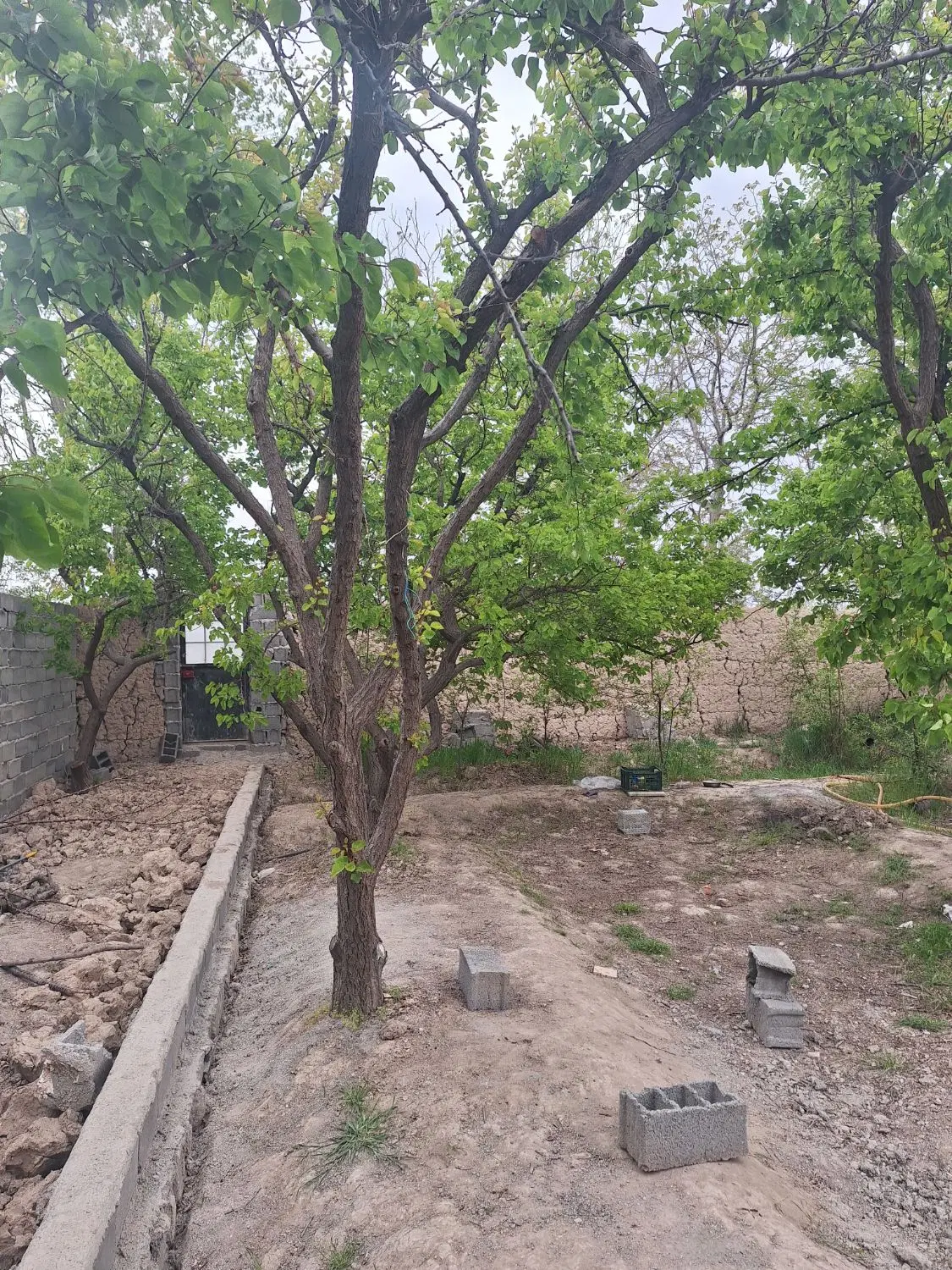 باغچه  ۲۲۰ متری
