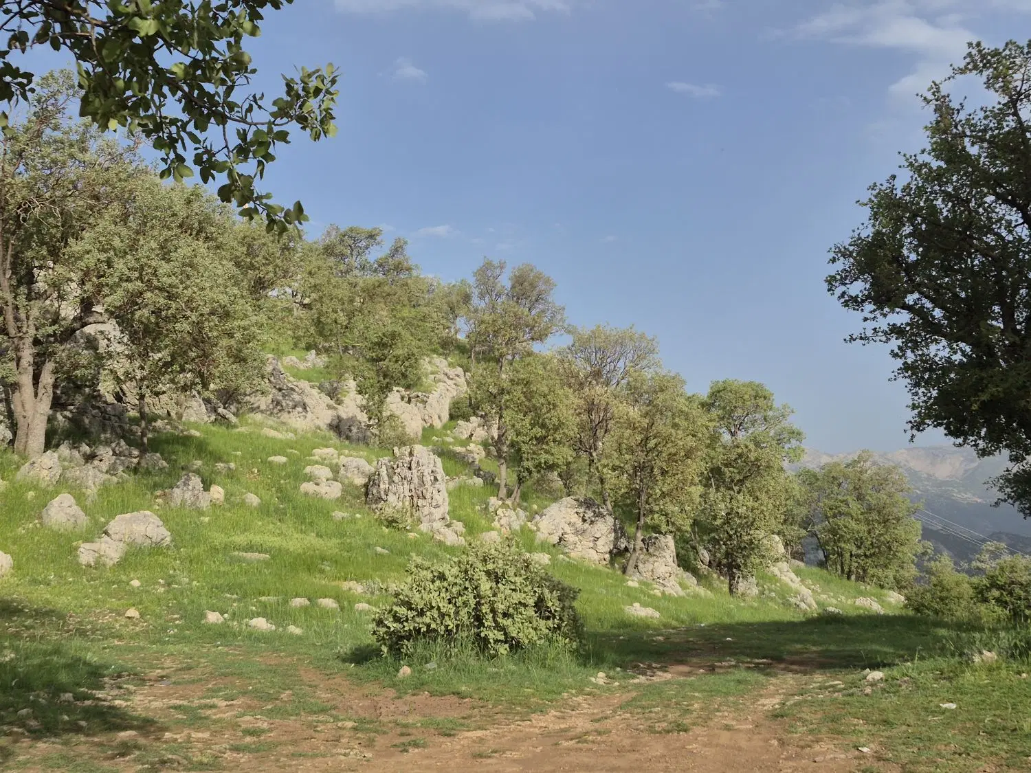 زمین ۵۰۰ متری موردراز علیا