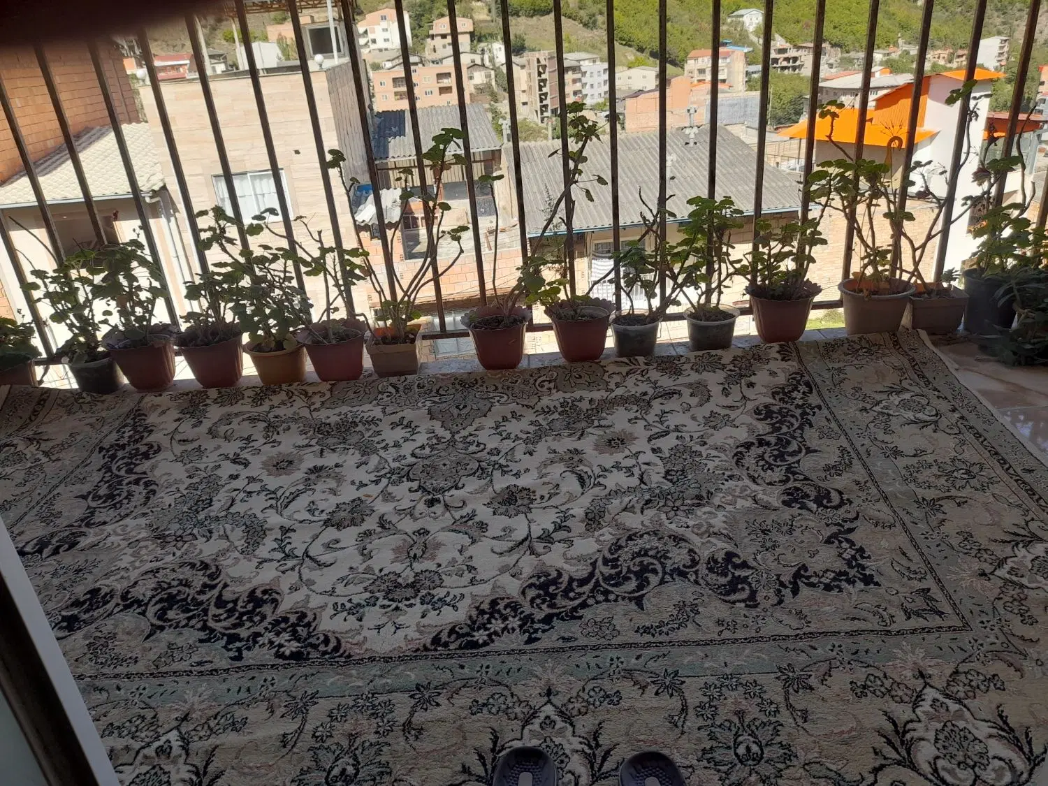سویت کوتاه مدت
