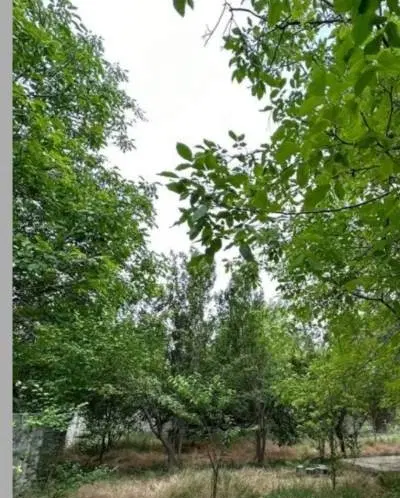 زمین ۲۰۰ متر مرکز شهرستان گرمی سند تک برگ